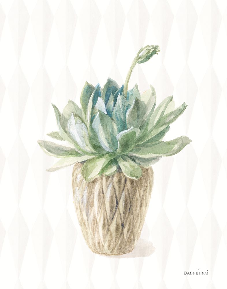 Desert Greenhouse XV art print by Danhui Nai for $57.95 CAD