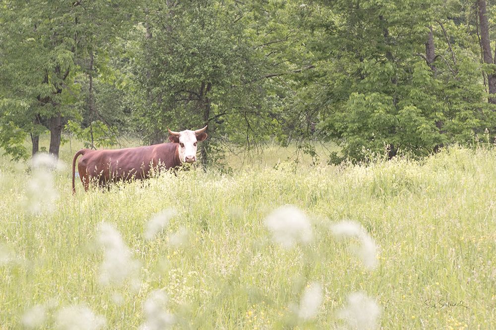 Summer Farm II art print by Sue Schlabach for $57.95 CAD
