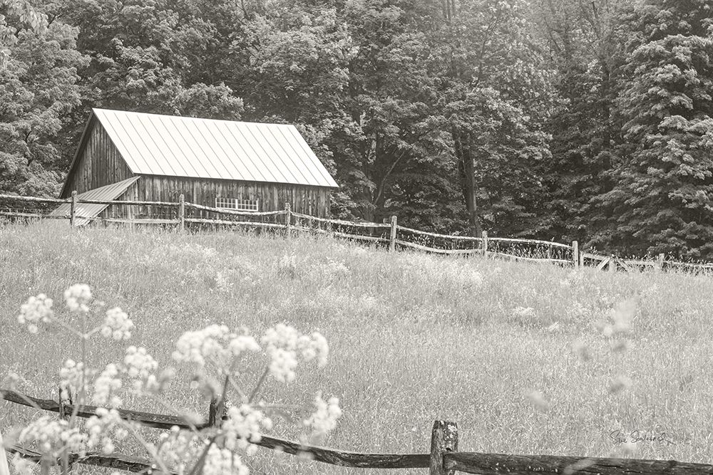 Summer Farm I BW art print by Sue Schlabach for $57.95 CAD