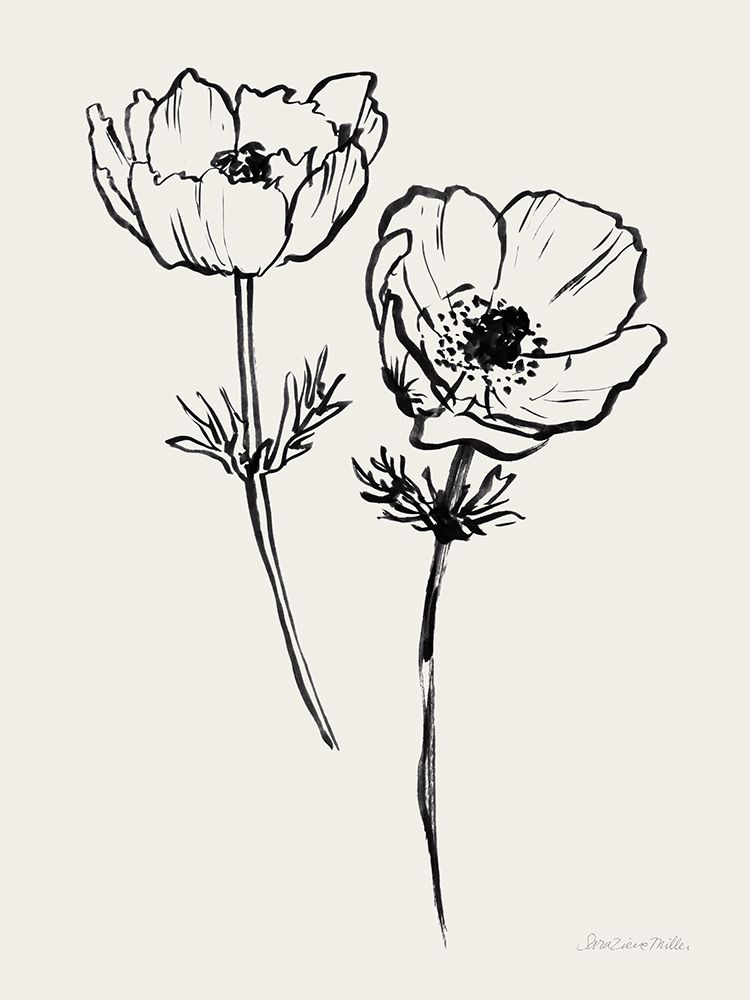 Ink Anemones I Black art print by Sara Zieve Miller for $57.95 CAD