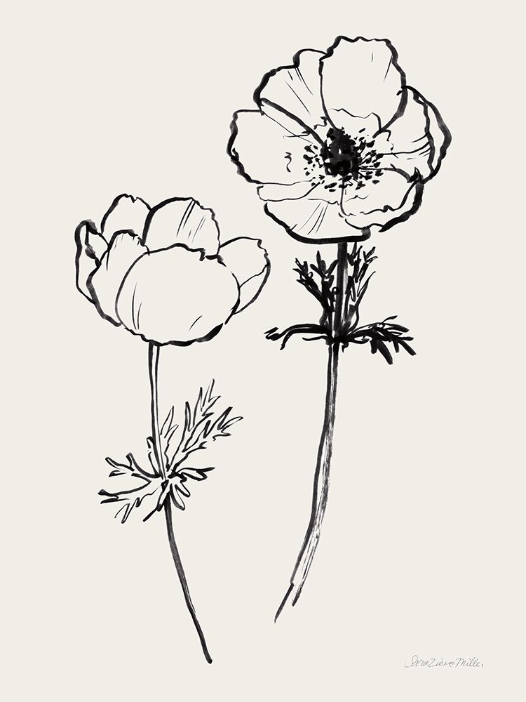 Ink Anemones II Black art print by Sara Zieve Miller for $57.95 CAD