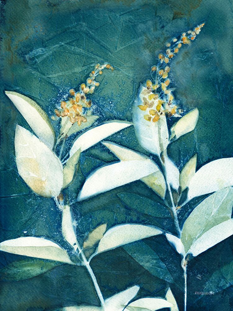 Shower of Gold IV art print by Kathy Ferguson for $57.95 CAD