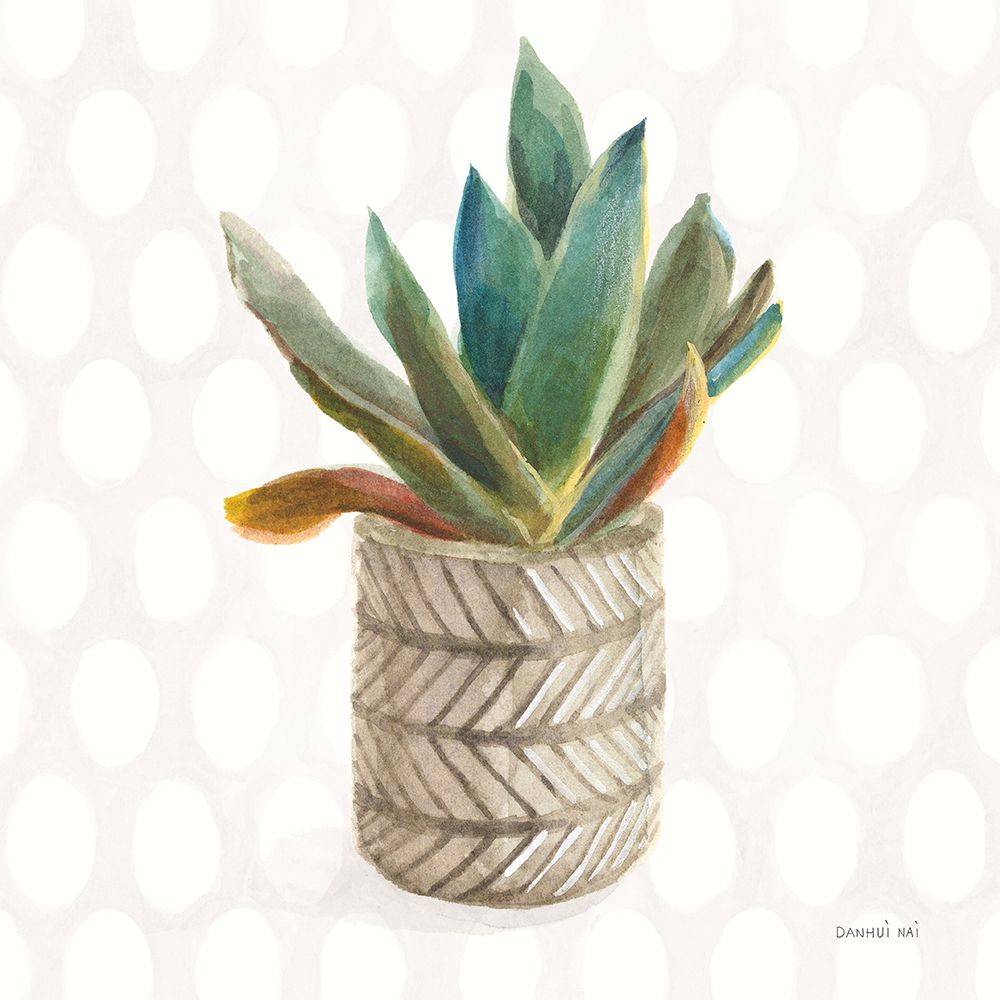 Desert Greenhouse XIII Sq art print by Danhui Nai for $57.95 CAD