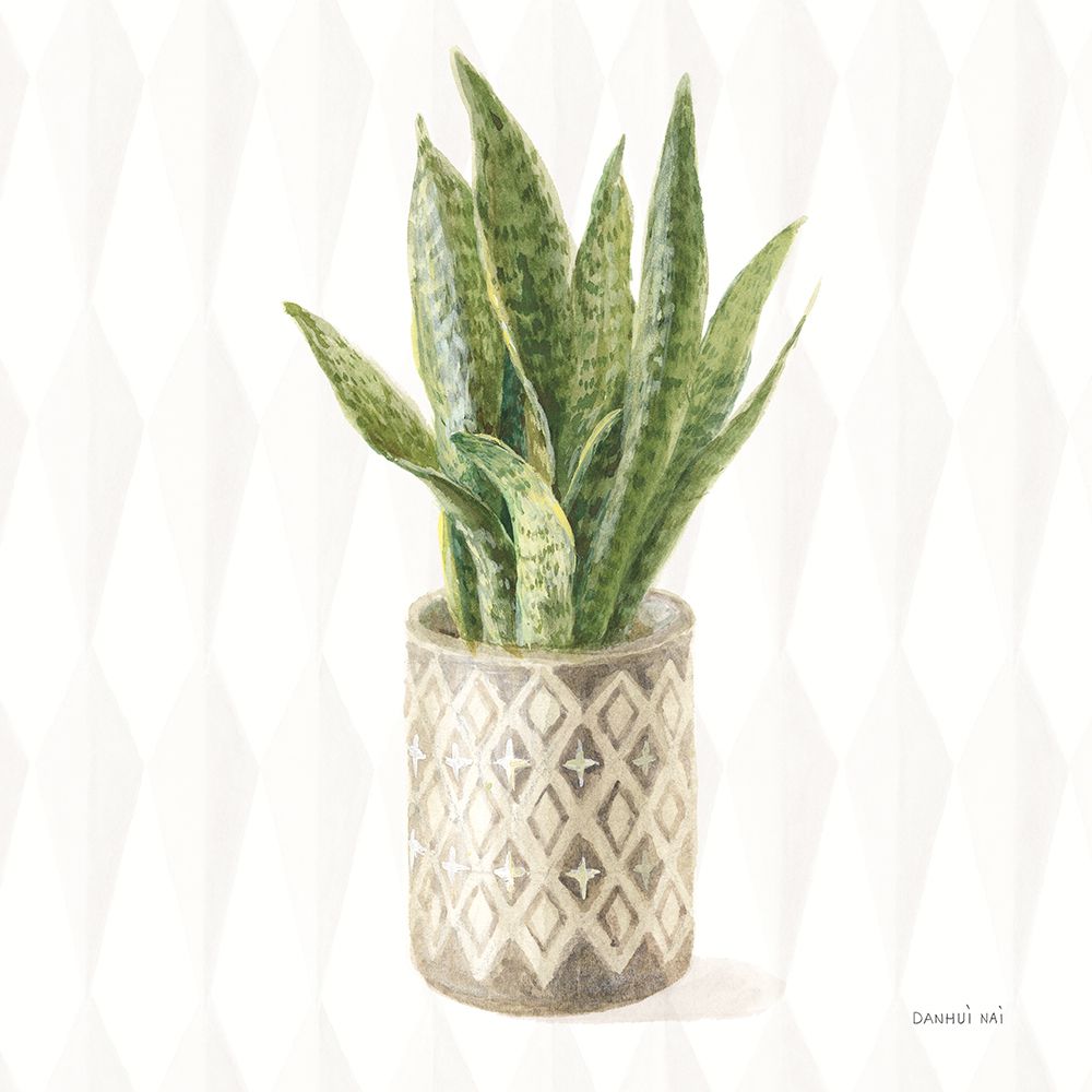 Desert Greenhouse XVI Sq art print by Danhui Nai for $57.95 CAD