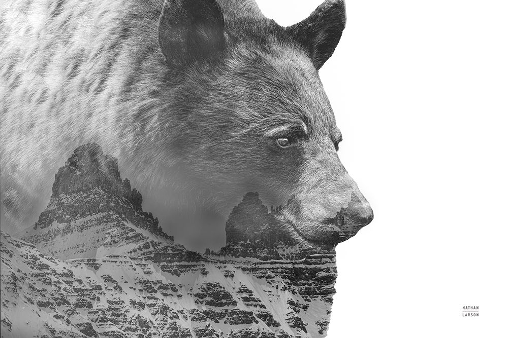 Mountain Bear art print by Nathan Larson for $57.95 CAD