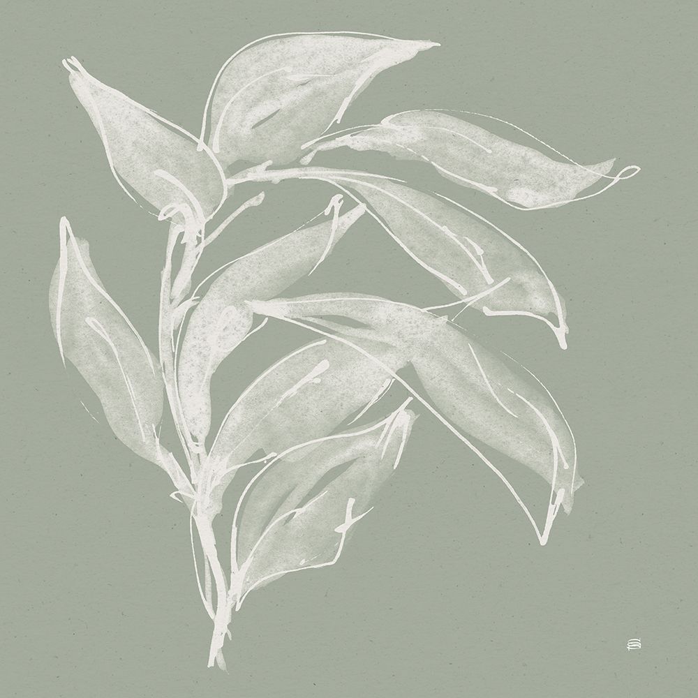 Branch I Sage art print by Chris Paschke for $57.95 CAD