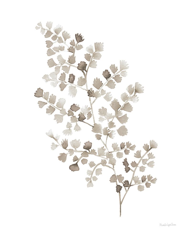 Maidenhair Fern Khaki art print by Mercedes Lopez Charro for $57.95 CAD
