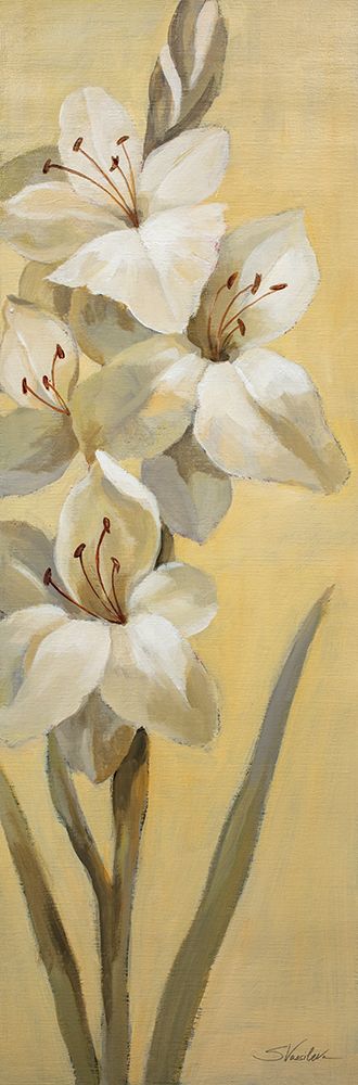 Subtle Lily II art print by Silvia Vassileva for $57.95 CAD