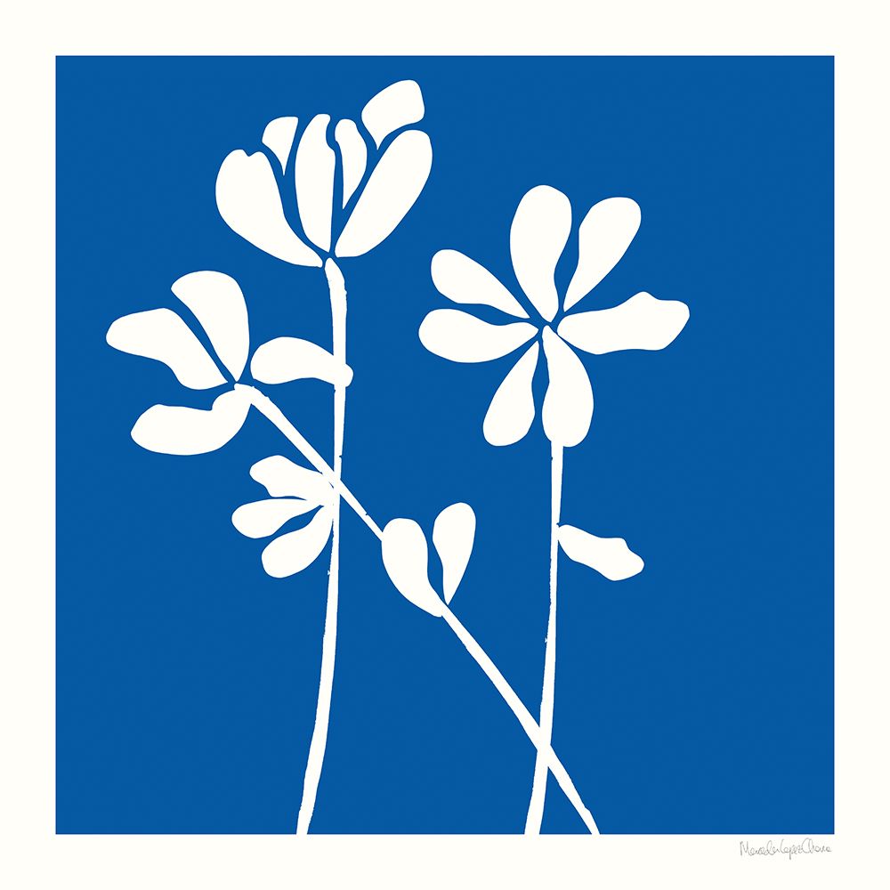 Fleurs de Matisse II Sq art print by Mercedes Lopez Charro for $57.95 CAD