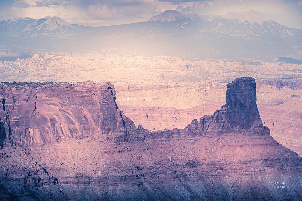 pinks art print by Nathan Larson for $57.95 CAD