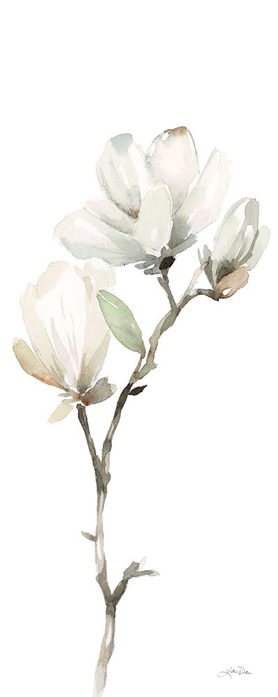 White Magnolia II Panel art print by Katrina Pete for $57.95 CAD