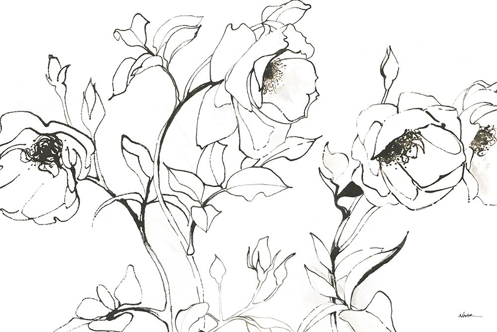 Sketch of Roses art print by Shirley Novak for $57.95 CAD
