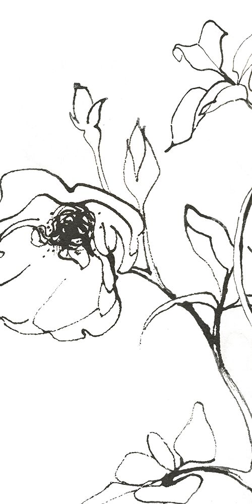 Sketch of Roses Panel I art print by Shirley Novak for $57.95 CAD