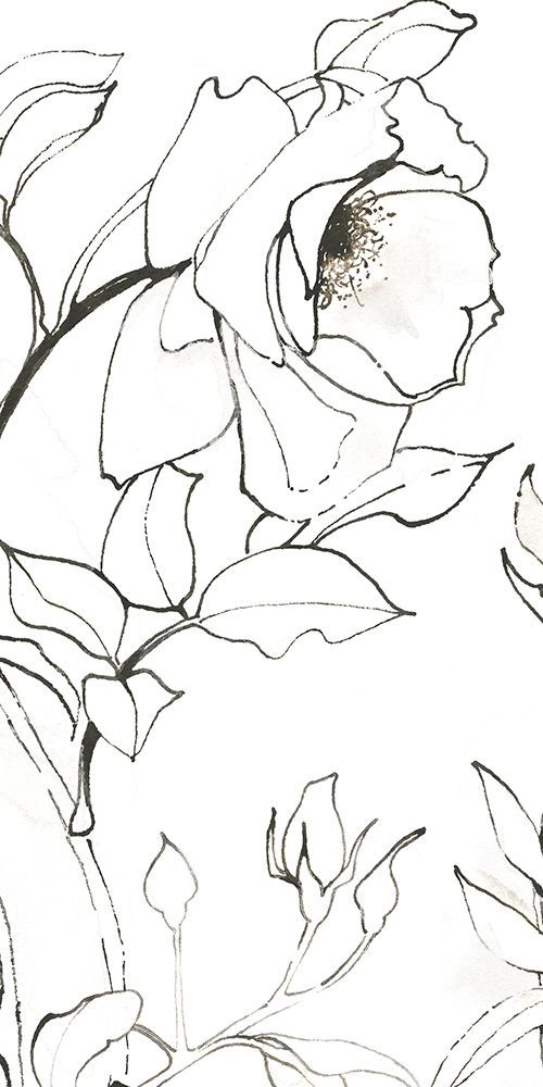 Sketch of Roses Panel II art print by Shirley Novak for $57.95 CAD