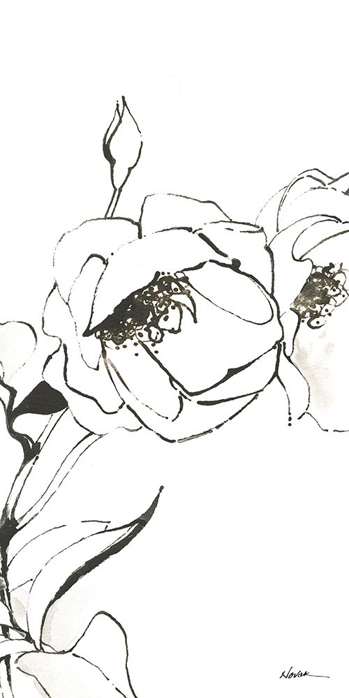 Sketch of Roses Panel III art print by Shirley Novak for $57.95 CAD