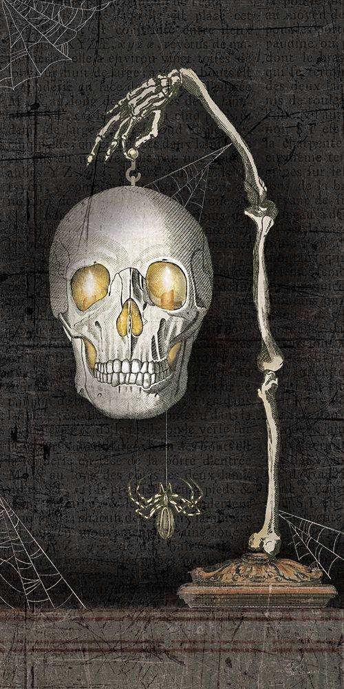 Apothecary Noir VII No Words art print by Sue Schlabach for $57.95 CAD