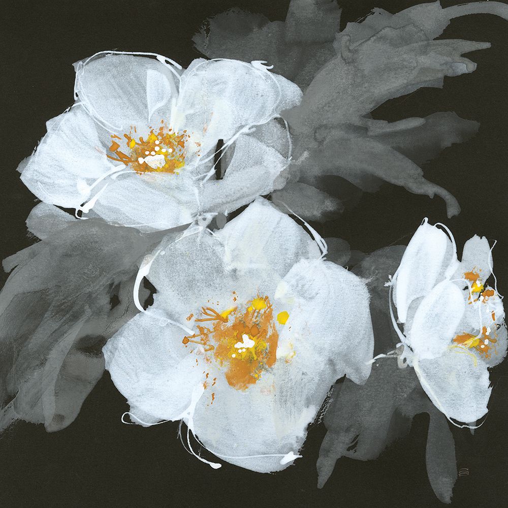 Poppies II art print by Chris Paschke for $57.95 CAD