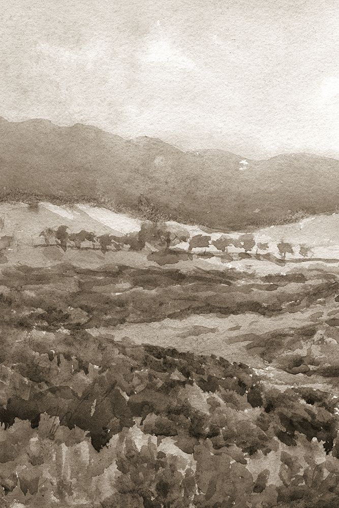 Field of Flowers II Sepia art print by Wild Apple Portfolio for $57.95 CAD