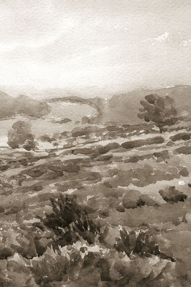 Field of Flowers III Sepia art print by Wild Apple Portfolio for $57.95 CAD