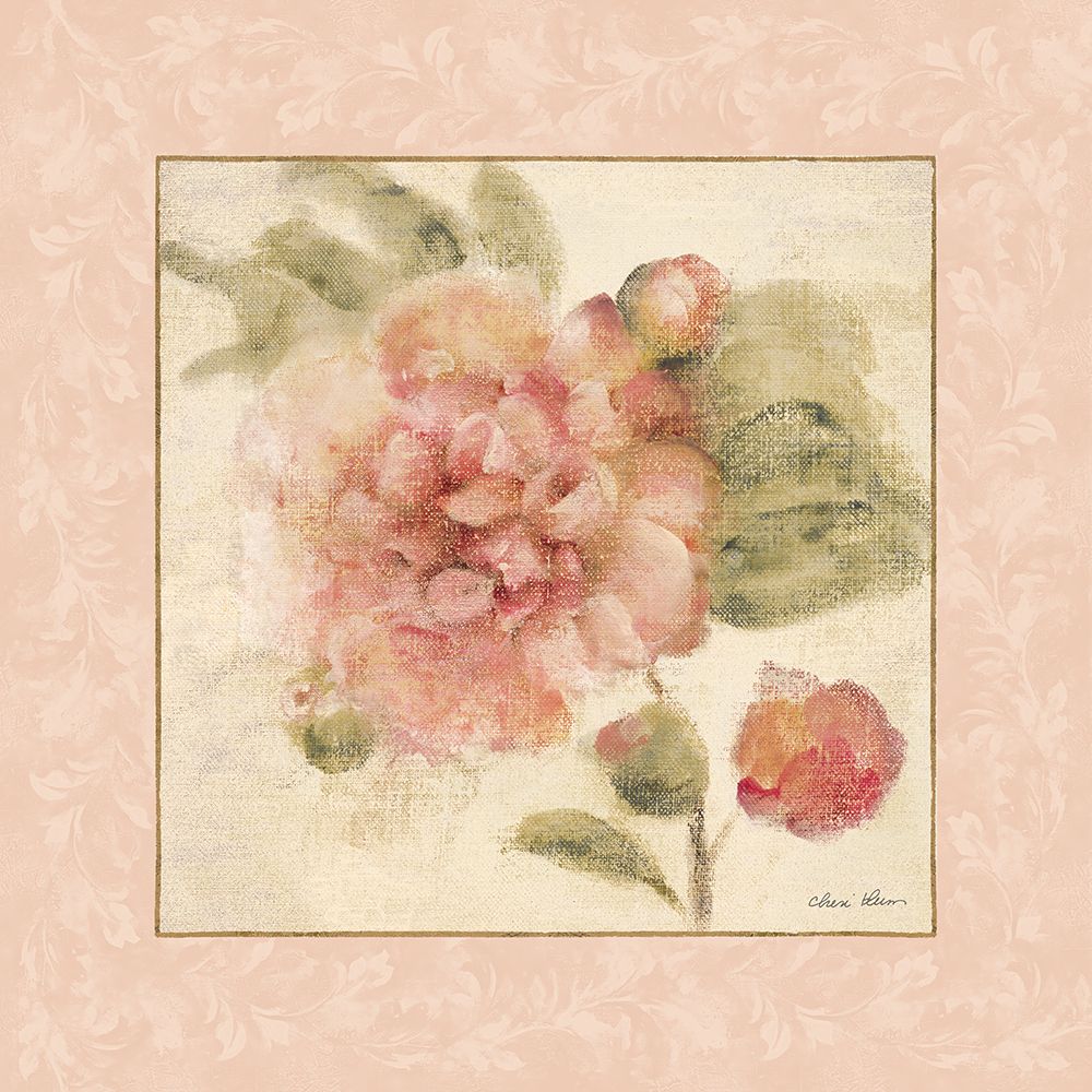 Rose Acanthus II art print by Cheri Blum for $57.95 CAD