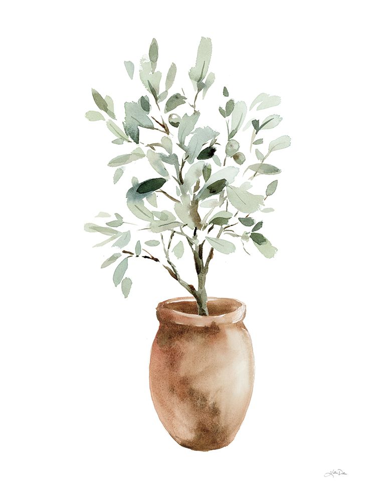 Potted Olive Tree art print by Katrina Pete for $57.95 CAD