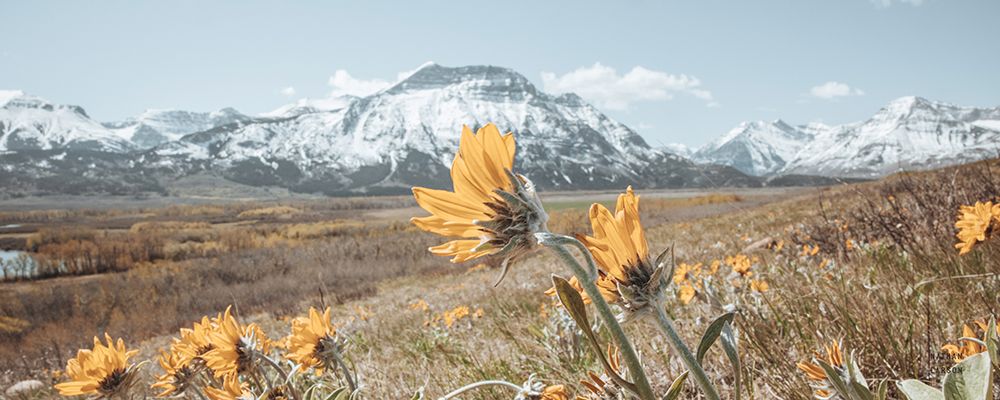 Crop art print by Nathan Larson for $57.95 CAD