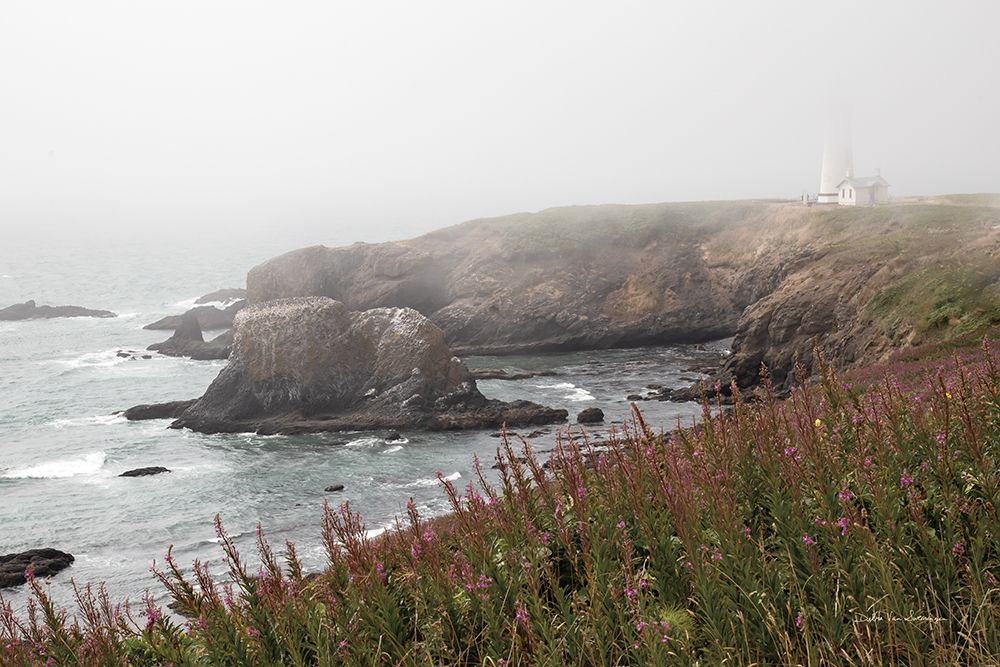 Coastal Fog II art print by Debra Van Swearingen for $57.95 CAD