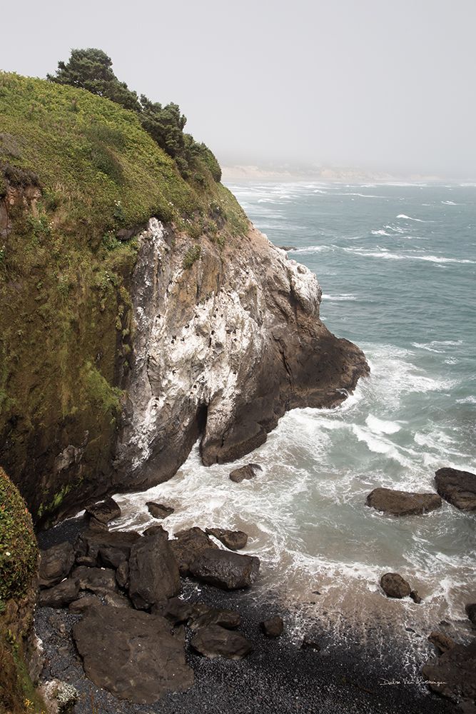 Coastal Fog III art print by Debra Van Swearingen for $57.95 CAD