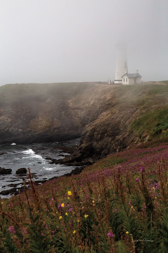 Coastal Fog IV art print by Debra Van Swearingen for $57.95 CAD