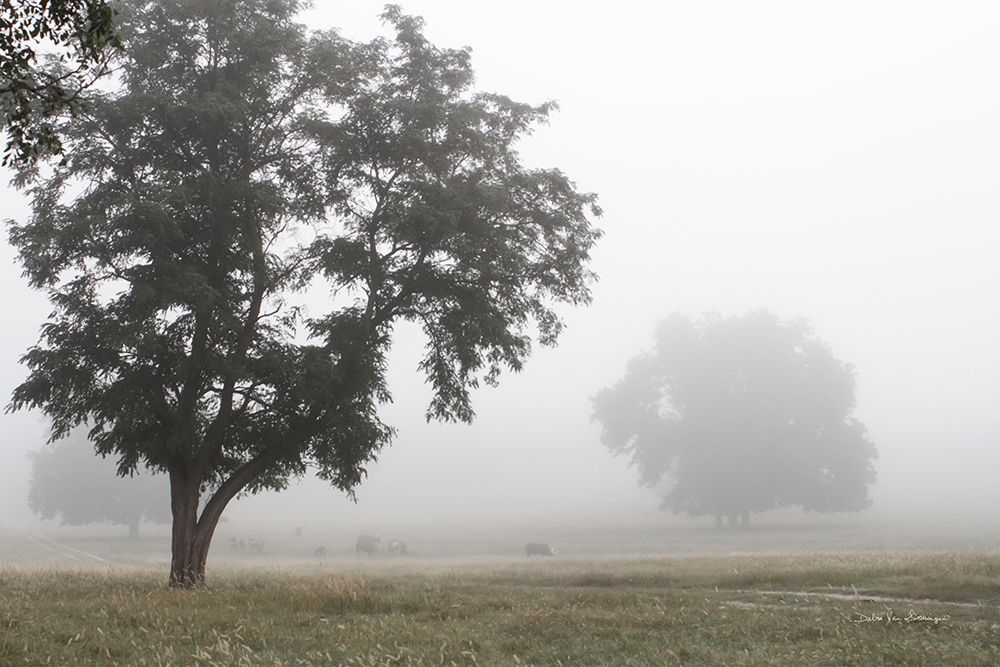 Morning Fog I art print by Debra Van Swearingen for $57.95 CAD