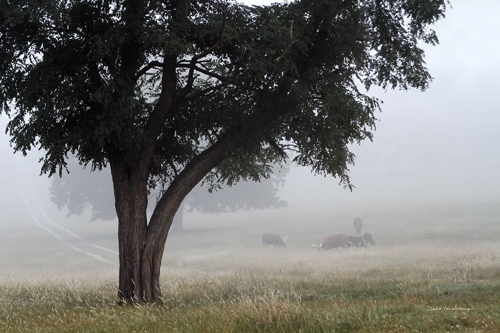 Morning Fog II art print by Debra Van Swearingen for $57.95 CAD