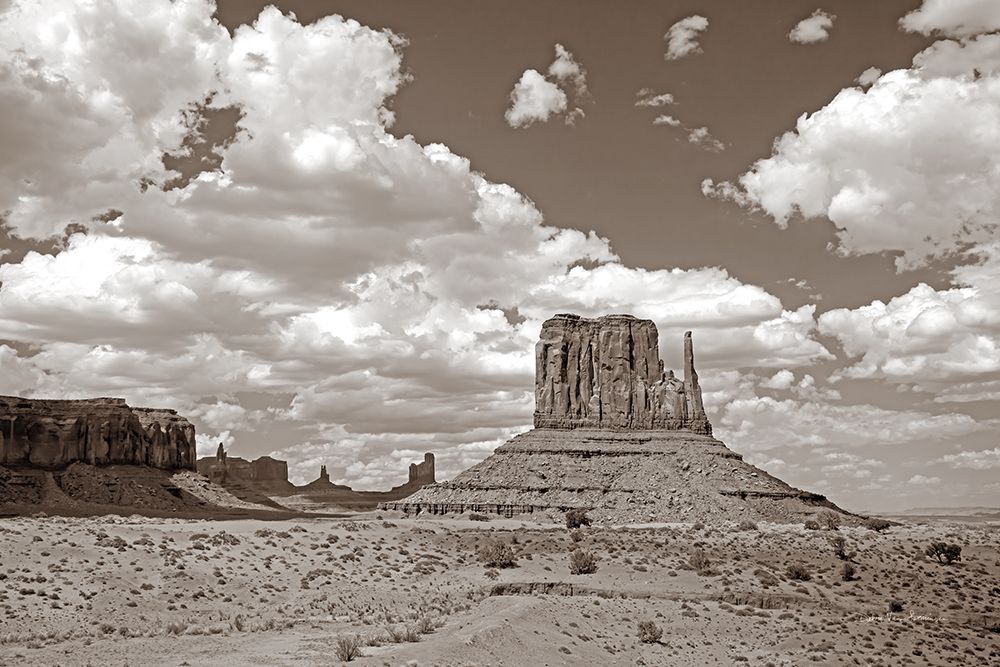 Monument Valley II Sepia art print by Debra Van Swearingen for $57.95 CAD