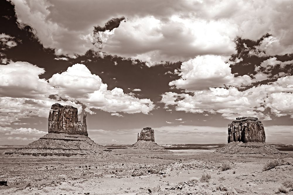 Monument Valley III Sepia art print by Debra Van Swearingen for $57.95 CAD
