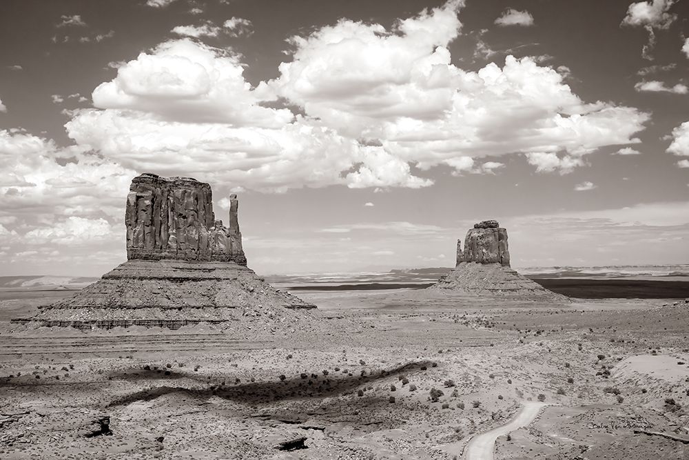 Monument Valley IV Sepia art print by Debra Van Swearingen for $57.95 CAD
