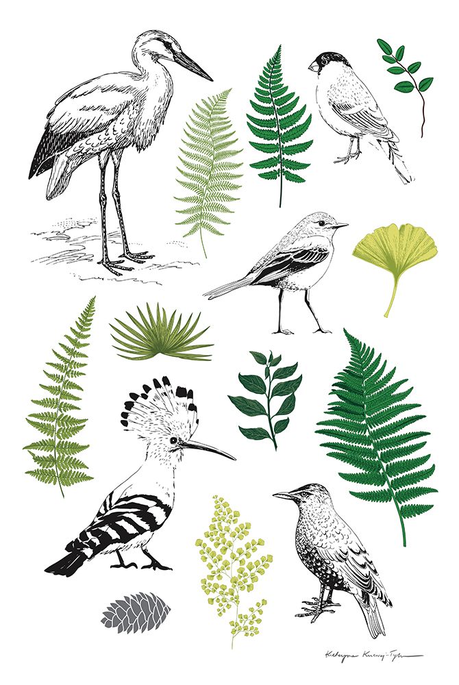 Nature Chart I art print by Kasia Kucwaj-Tybur for $57.95 CAD