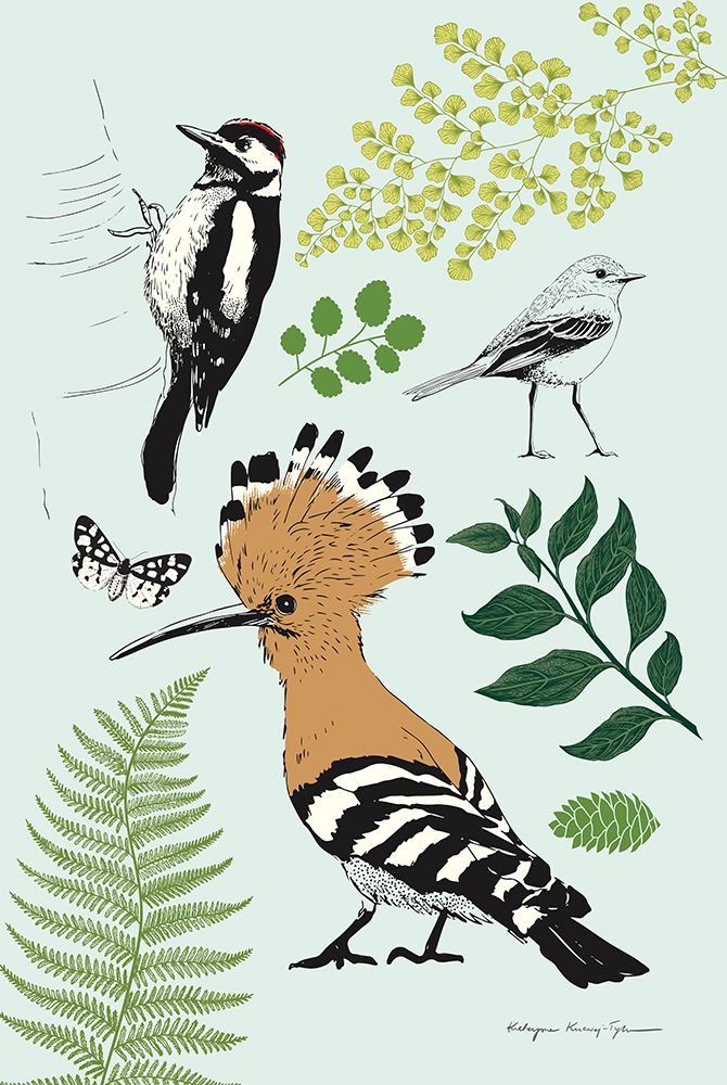 Nature Chart II art print by Kasia Kucwaj-Tybur for $57.95 CAD