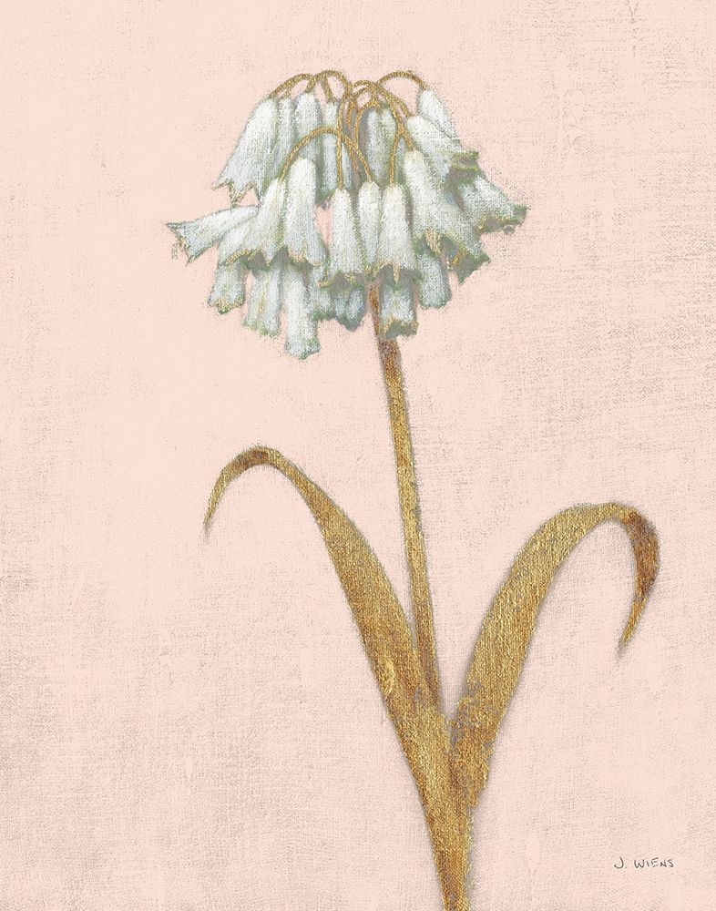 Shimmering Summer II Blush Crop art print by James Wiens for $57.95 CAD