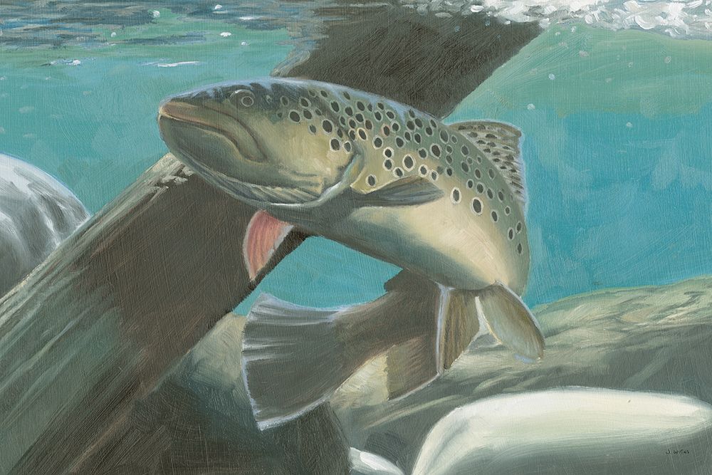 Fresh Catch I art print by James Wiens for $57.95 CAD