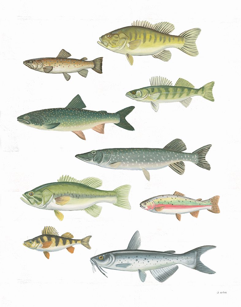 Fresh Catch V art print by James Wiens for $57.95 CAD