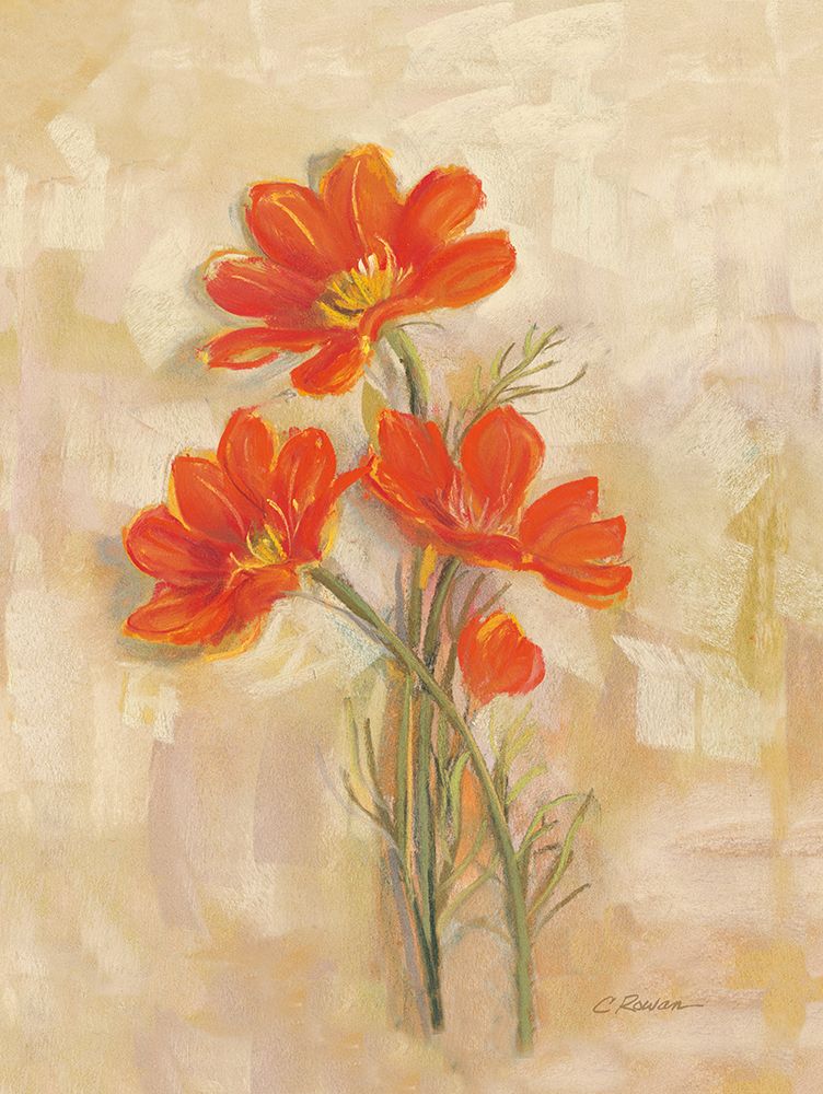 Spicy Orange Cosmos art print by Carol Rowan for $57.95 CAD