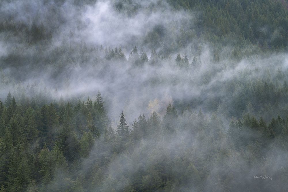 Misty Mountains North Cascades art print by Alan Majchrowicz for $57.95 CAD