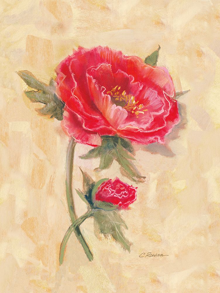 Spicy Poppies art print by Carol Rowan for $57.95 CAD