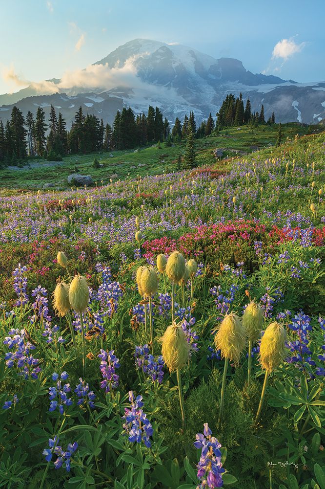 Paradise Wildflower Meadows II art print by Alan Majchrowicz for $57.95 CAD