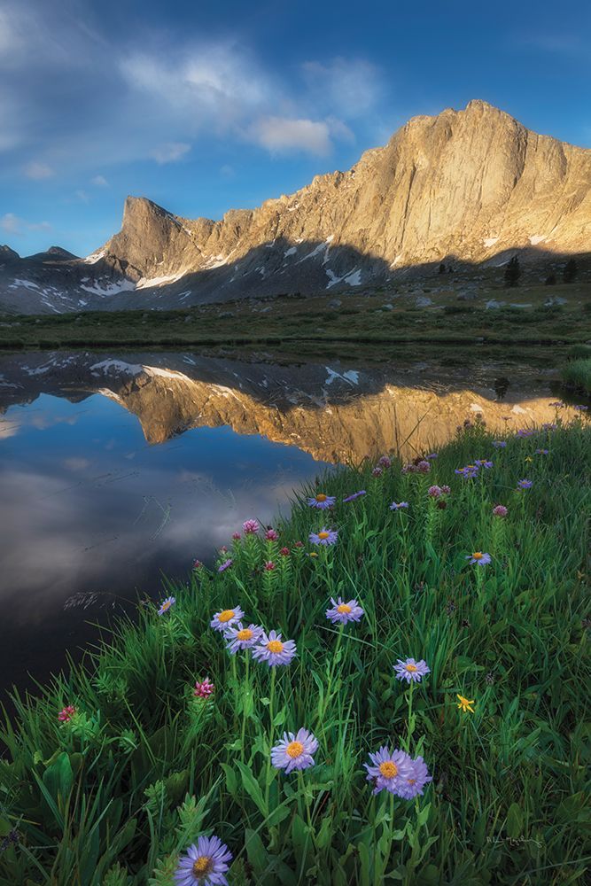Pronghorn and Dragon Head Peaks art print by Alan Majchrowicz for $57.95 CAD