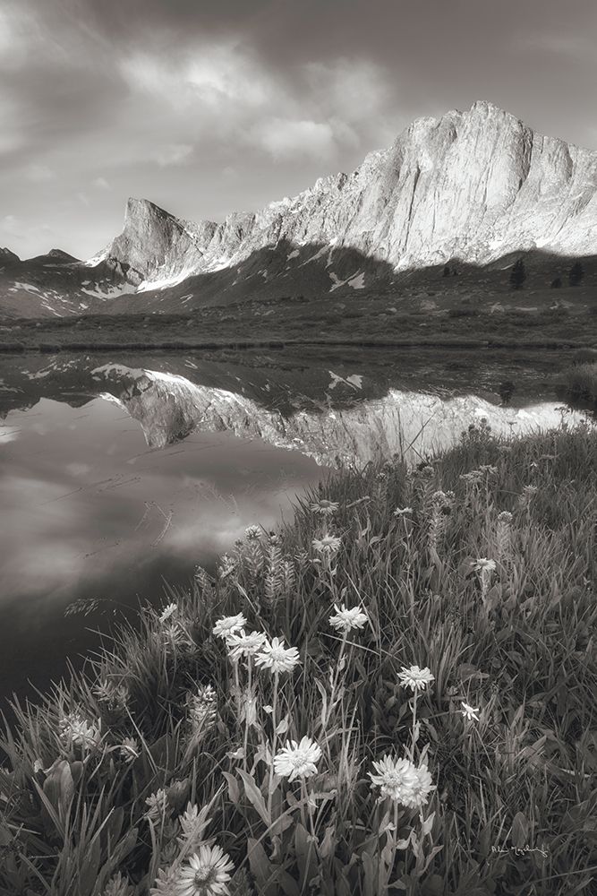 Pronghorn and Dragon Head Peaks BW art print by Alan Majchrowicz for $57.95 CAD