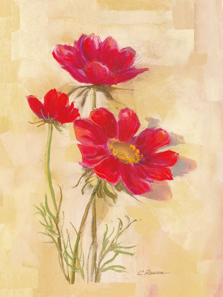 Spicy Red Cosmos art print by Carol Rowan for $57.95 CAD