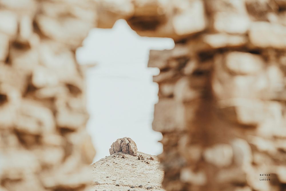 Through Ruins art print by Nathan Larson for $57.95 CAD