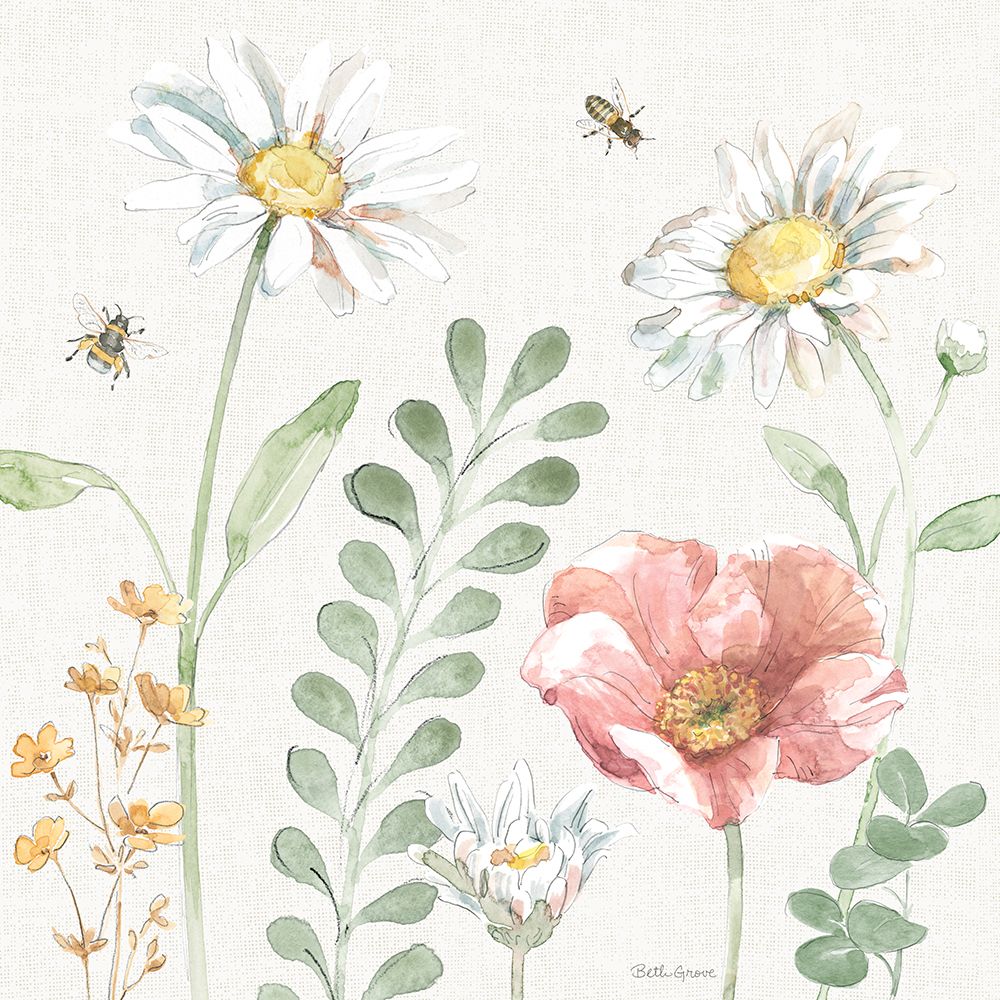 Daisy Days III art print by Beth Grove for $57.95 CAD
