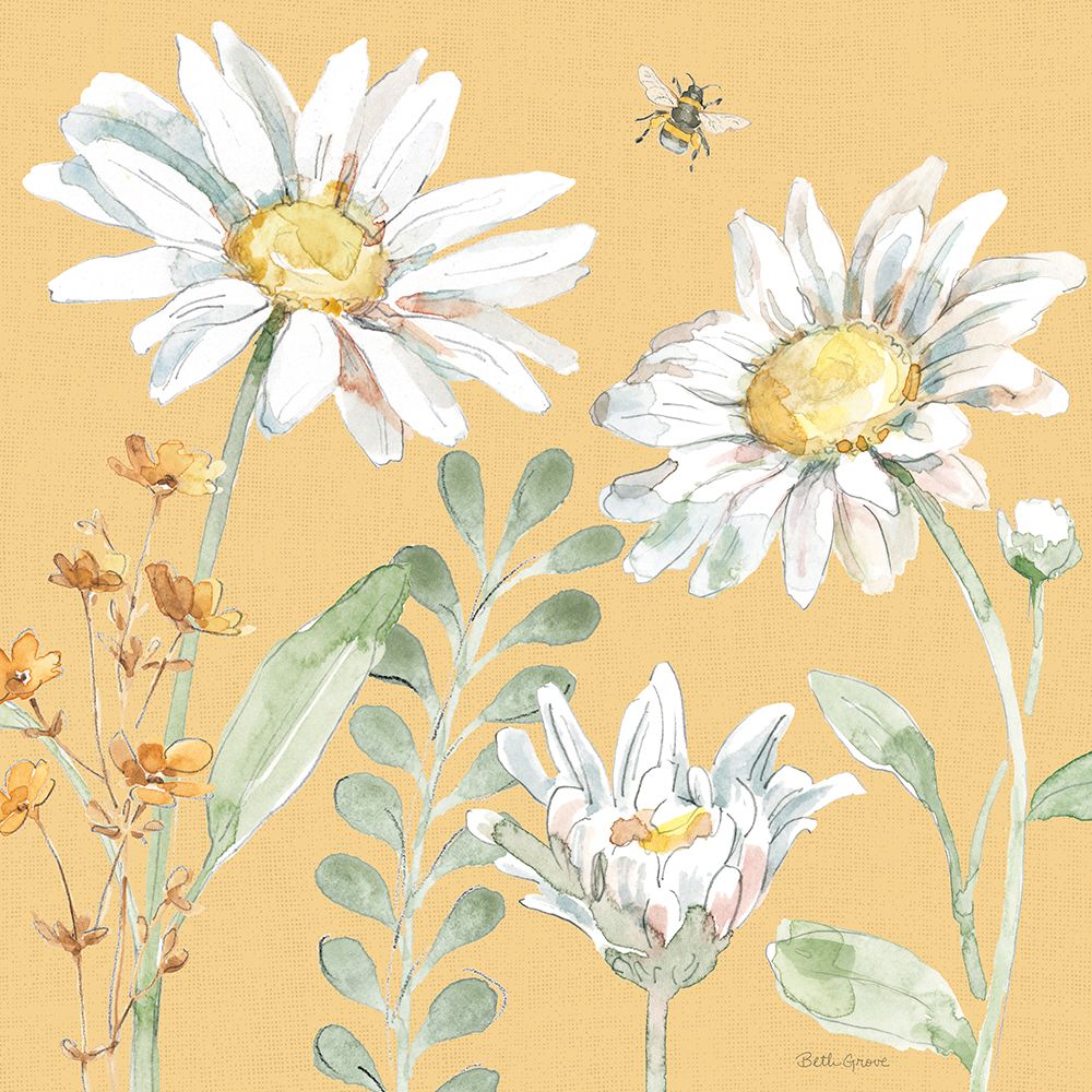 Daisy Days VIII art print by Beth Grove for $57.95 CAD