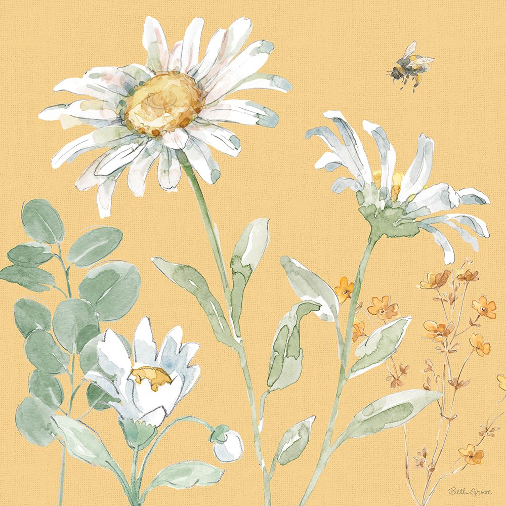 Daisy Days IX art print by Beth Grove for $57.95 CAD